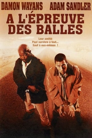 A L'épreuve des balles